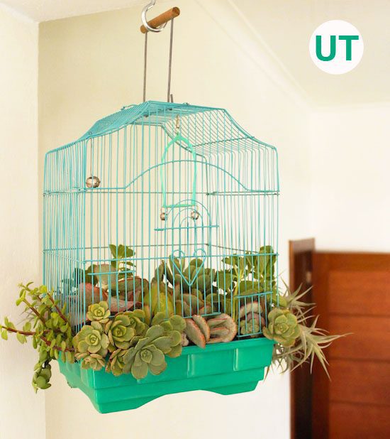 Upcycled garden ideas - birdcage planter
