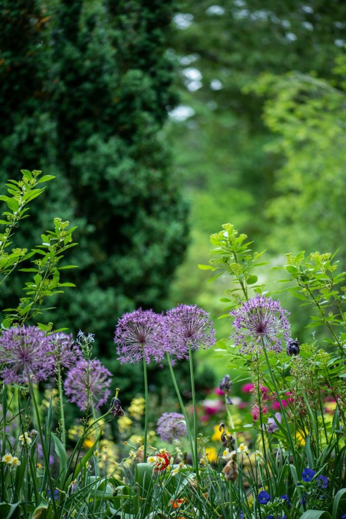 sensory garden design