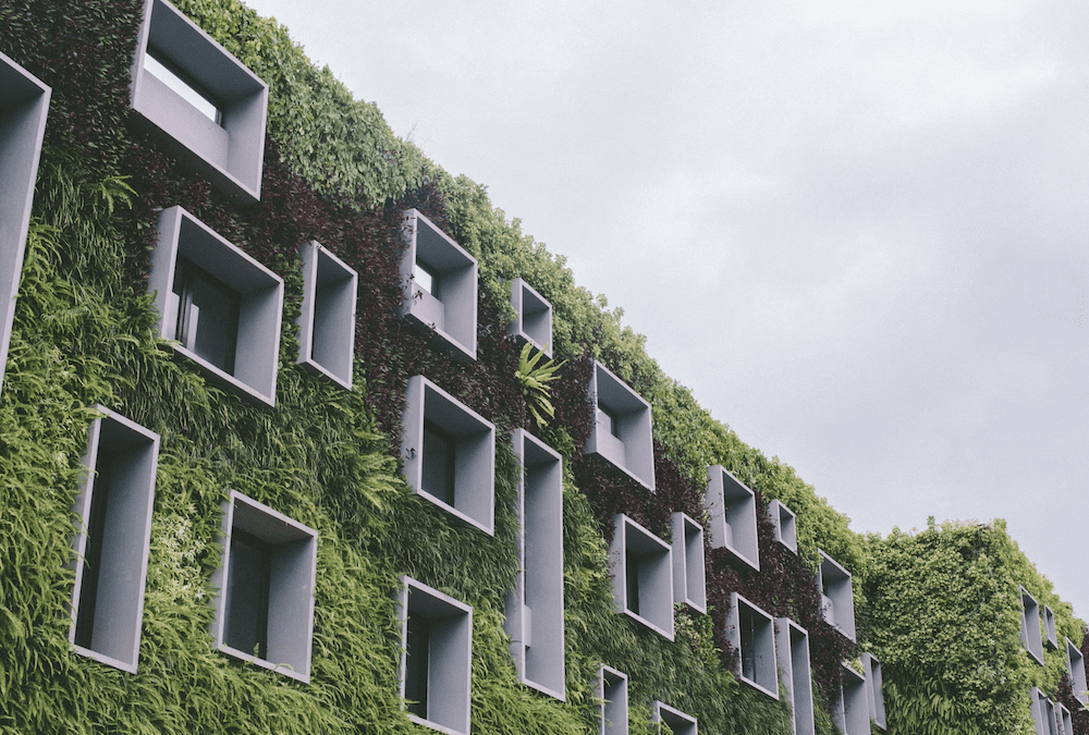 eco home