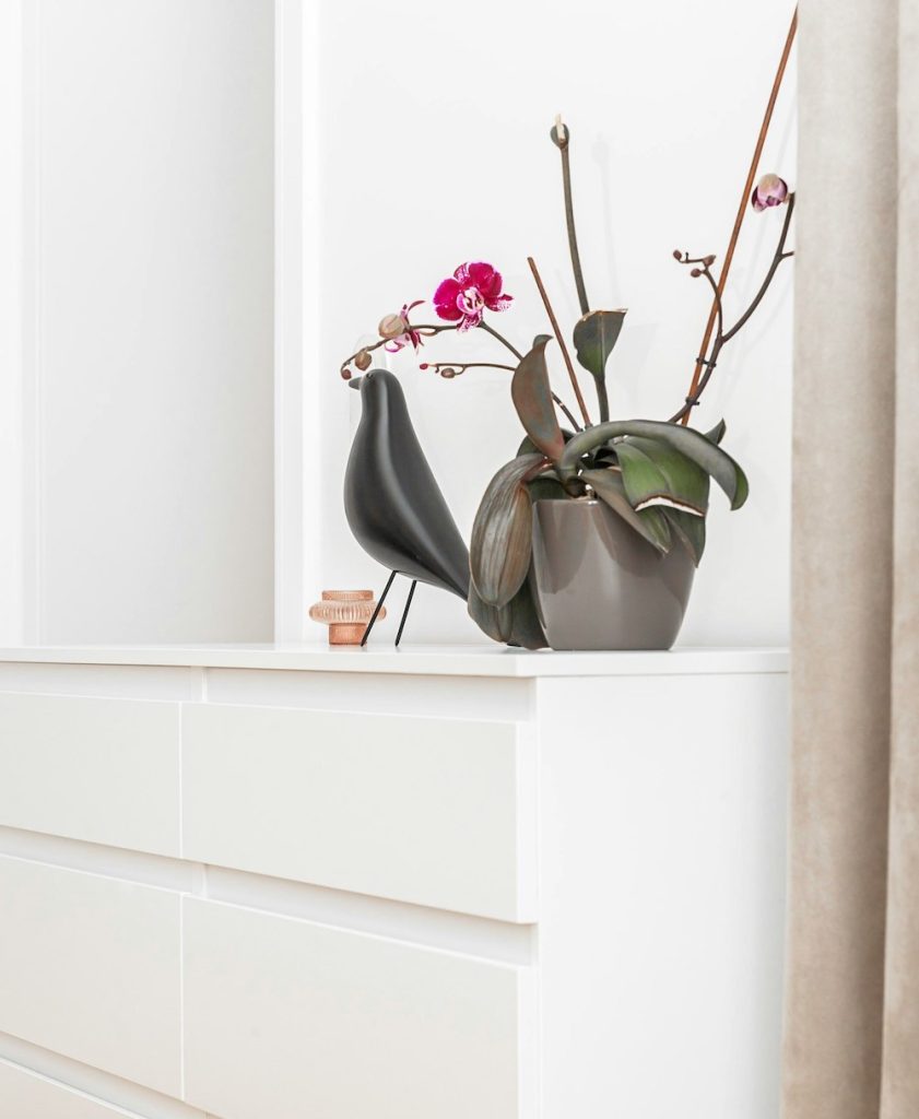 apartment minimalism
