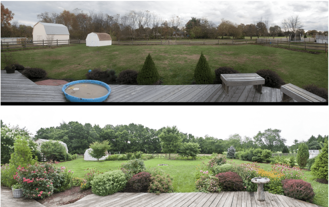 backyard transformation ideas