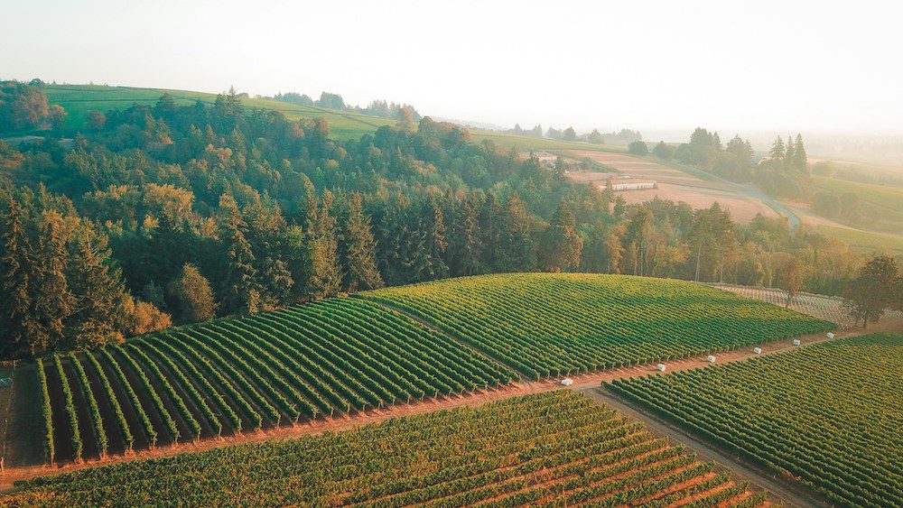 Where to buy homestead property