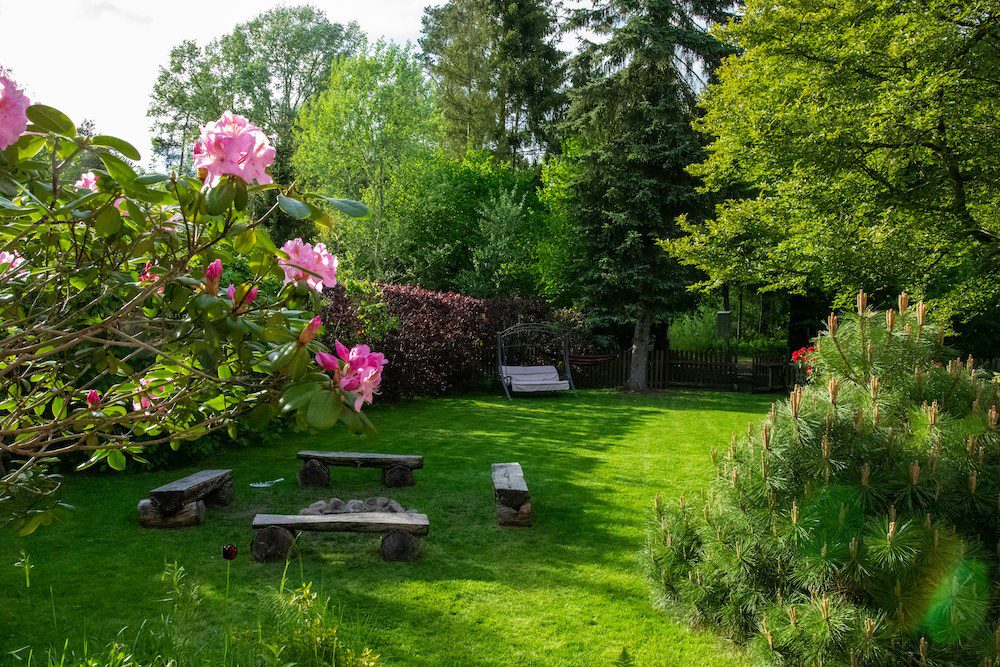 garden