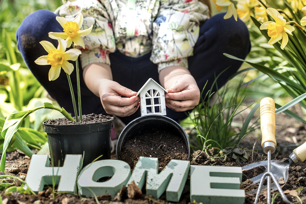 eco-friendly backyard habits